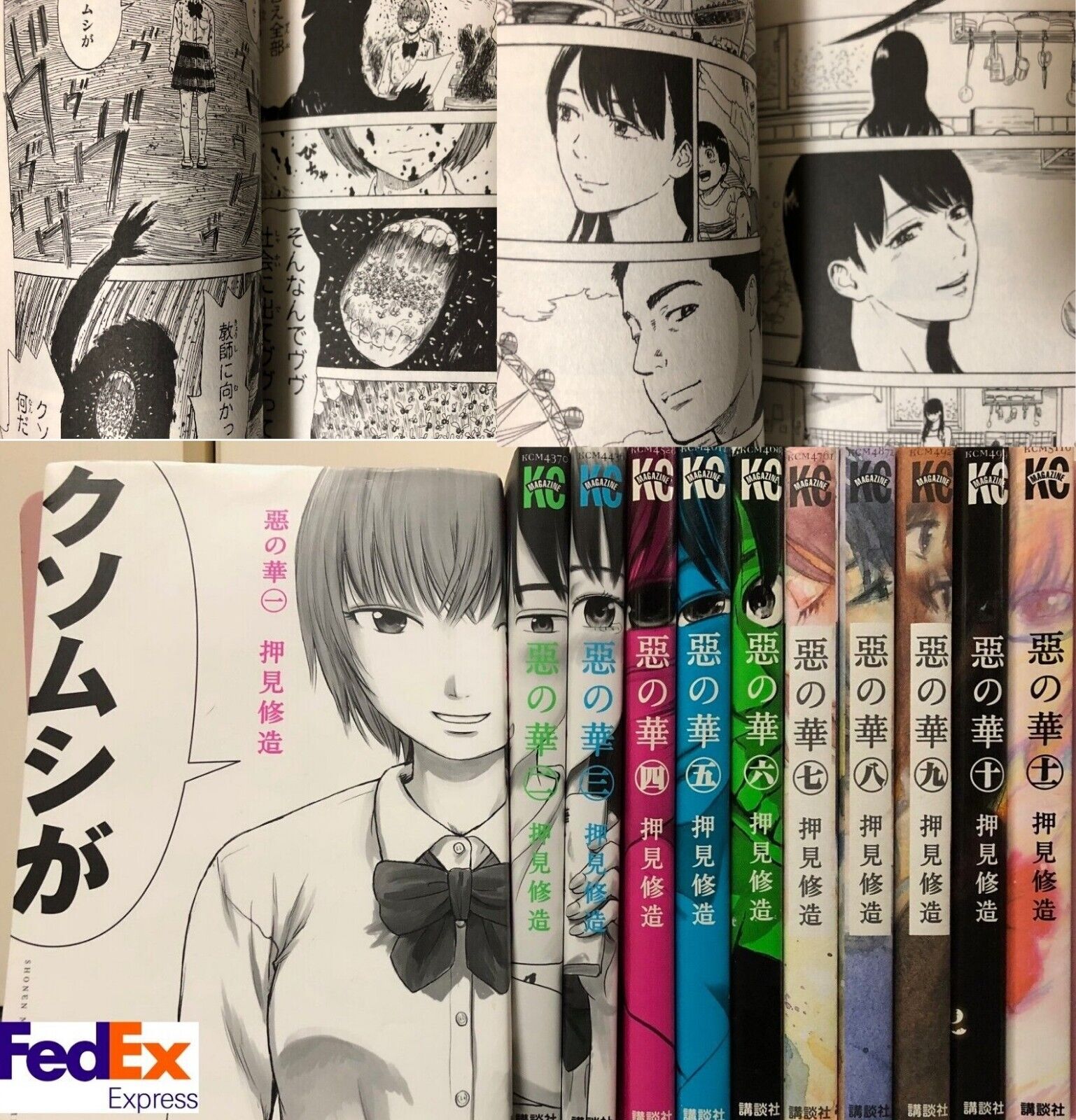 Aku no Hana • Mangá •