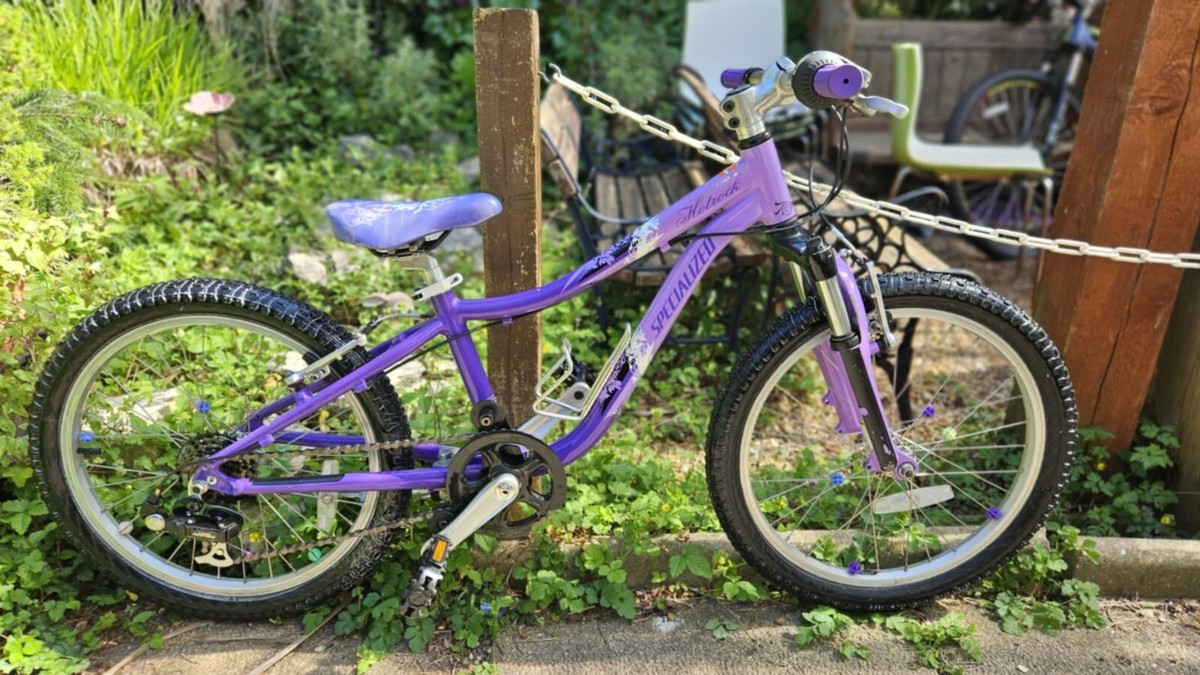 Pink Specialized Hotrock 24 Girl Purple Specialized Hotrock 20