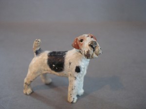 toy wire haired fox terrier