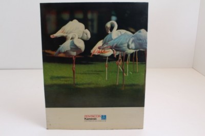 Pentacon cardboard sign picture sign shop window advertising VEB cameras GDR Dresden