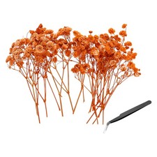 30 Pcs Dried Gypsophila Flower 4" Orange Pressed Flowers with Tweezer