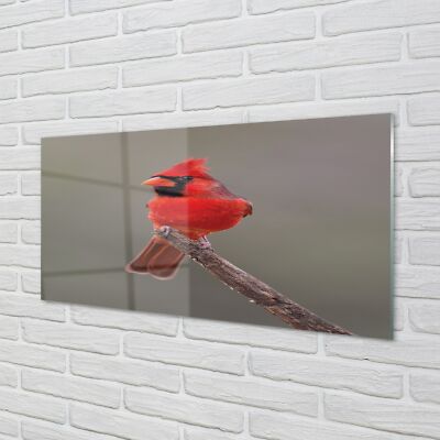 Tulup Glasbilder 120x60 Wandkunst Red Papagei auf einem Zweig