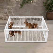 4 Holes Quail Feeder Pigeon Dove Bird Outside Of Cage with One-Way Entry White