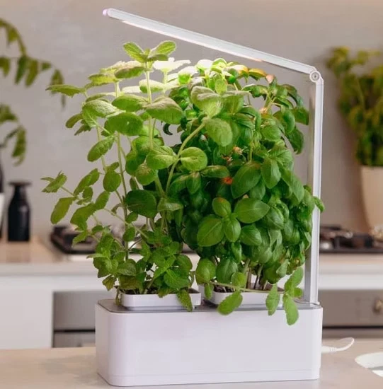 Smart Indoor Hydroponic Planter – LED Grow Lights, Auto Watering, Kitchen Garden - Image 2 of 4