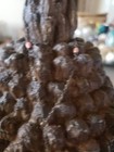 Vintage Jesus Coral pendant Made in Italy — photo 3