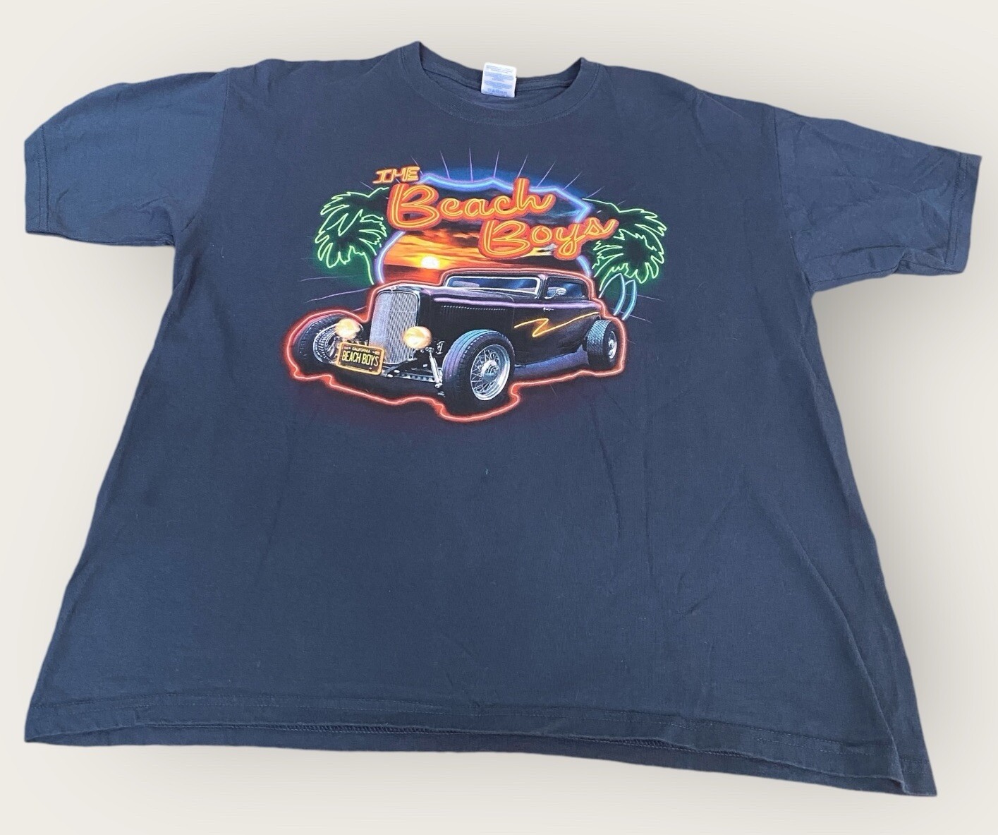 2009 The Beach Boys Shirt Adult Large Blue Band T-Shirt Concert Merch Tour Tee