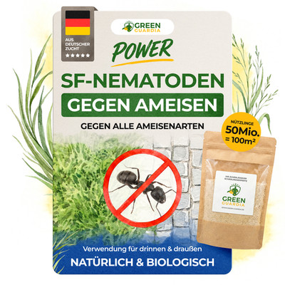 SF Nematoden gegen Ameisen-50 Mio. für 100m²-Mittel gegen Ameisen im Haus&Garten