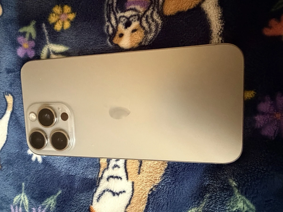 iPhone 15 Pro Max 256GB for Sale - Shop New & Used Cell Phones - eBay