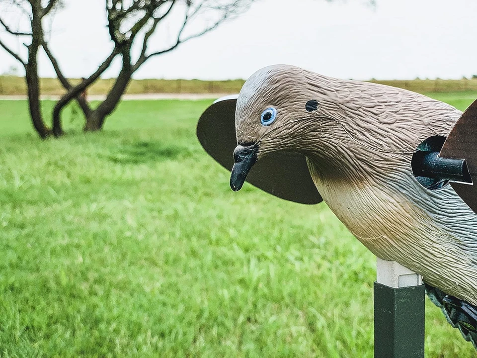 MOJO VooDoo Dove Motorized Decoy Realistic Durable Hunting Accessory - Image 3 of 4