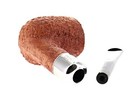 Bild 9 von 10