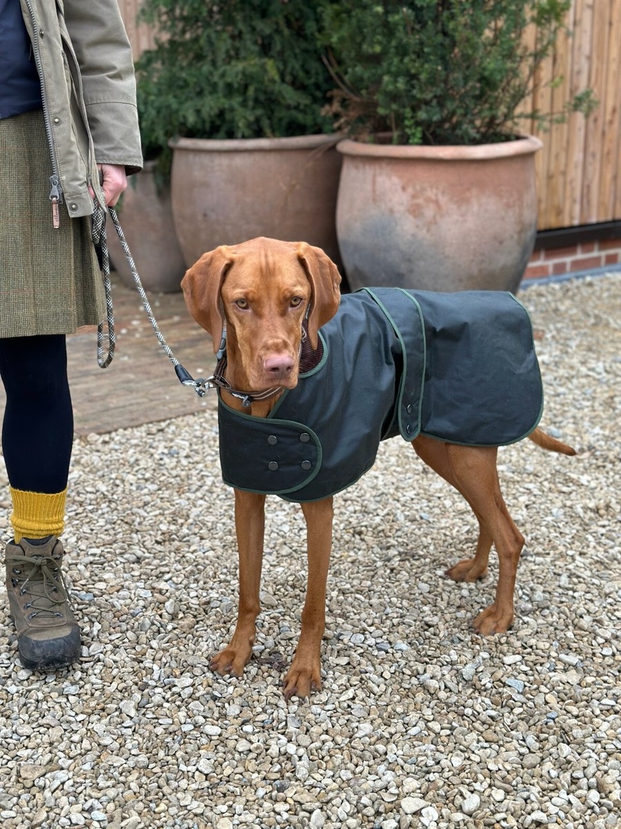 Traditional Hunter Green Waxed Dog Coat Made In The UK UK