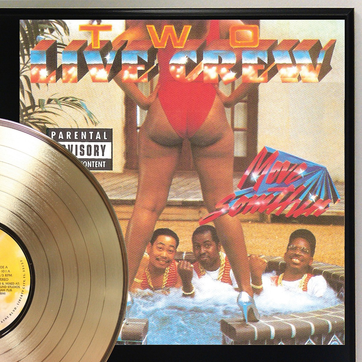 2 Live Crew - Move Somethin Gold LP Record Plaque Display | eBay