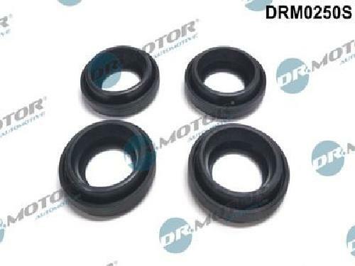 Fits Dr. Motor Automotive DRM0250S Seal, injector holder - Image 7