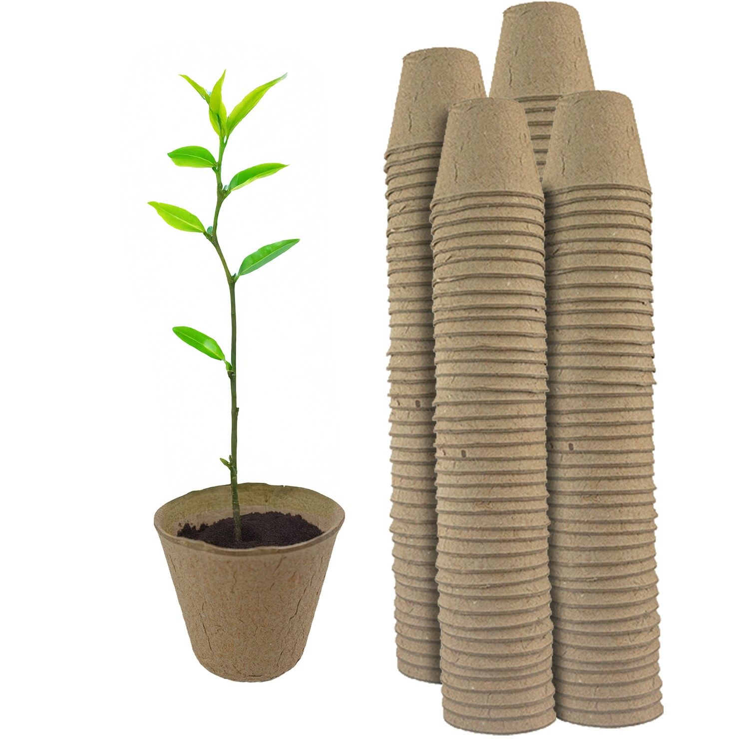 Compostable Paper Plant Pots 8cm Biodegradable Eco Friendly Seedling Pots 160 PK