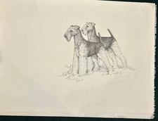 Airedale Terrier Pair Original Pen And Ink ByMartha Van Loan 24 X18