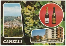 CANELLI - ASTI - VEDUTINE -44376-