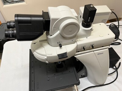 Nikon Eclipse Ni-E Fluorescence Microscope