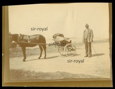 Pferd mit Sulky Kutsche neben Mann um 1910 - Foto 12x9cm