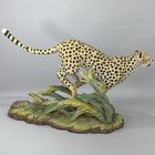 Picture 3 of 22