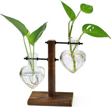 Plant Propagation Station Terrarium Wooden Stand 2 Love Bulb Vase