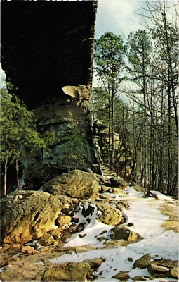 The Huge Natural Stone Bridge Natural Bridge State Resort Postcard Unposted