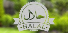 HALAL FROSTED GLASS STICKERS DECALS SHOP WINDOW CAFE BAR RESTAURANT ETCHED