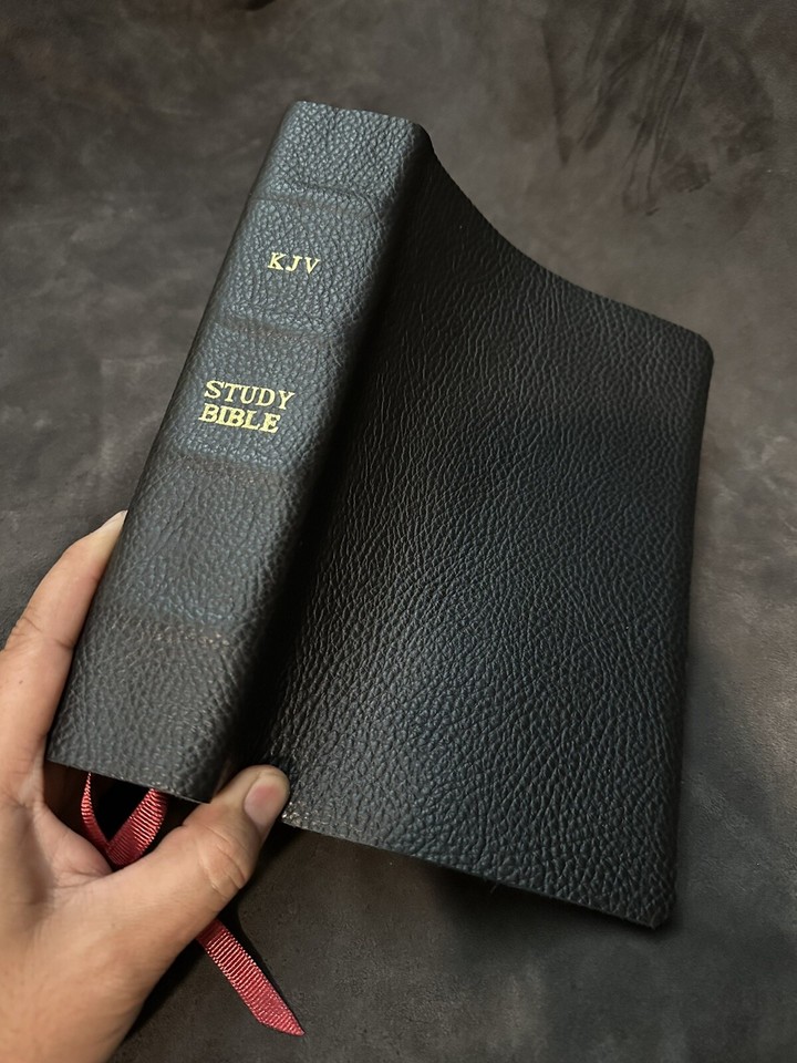 KJV KING JAMES study bible genuine leather | eBay