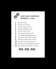 Shetland Sheepdog / Sheltie Dog Art Print - CUSTOM MATTED - P/L