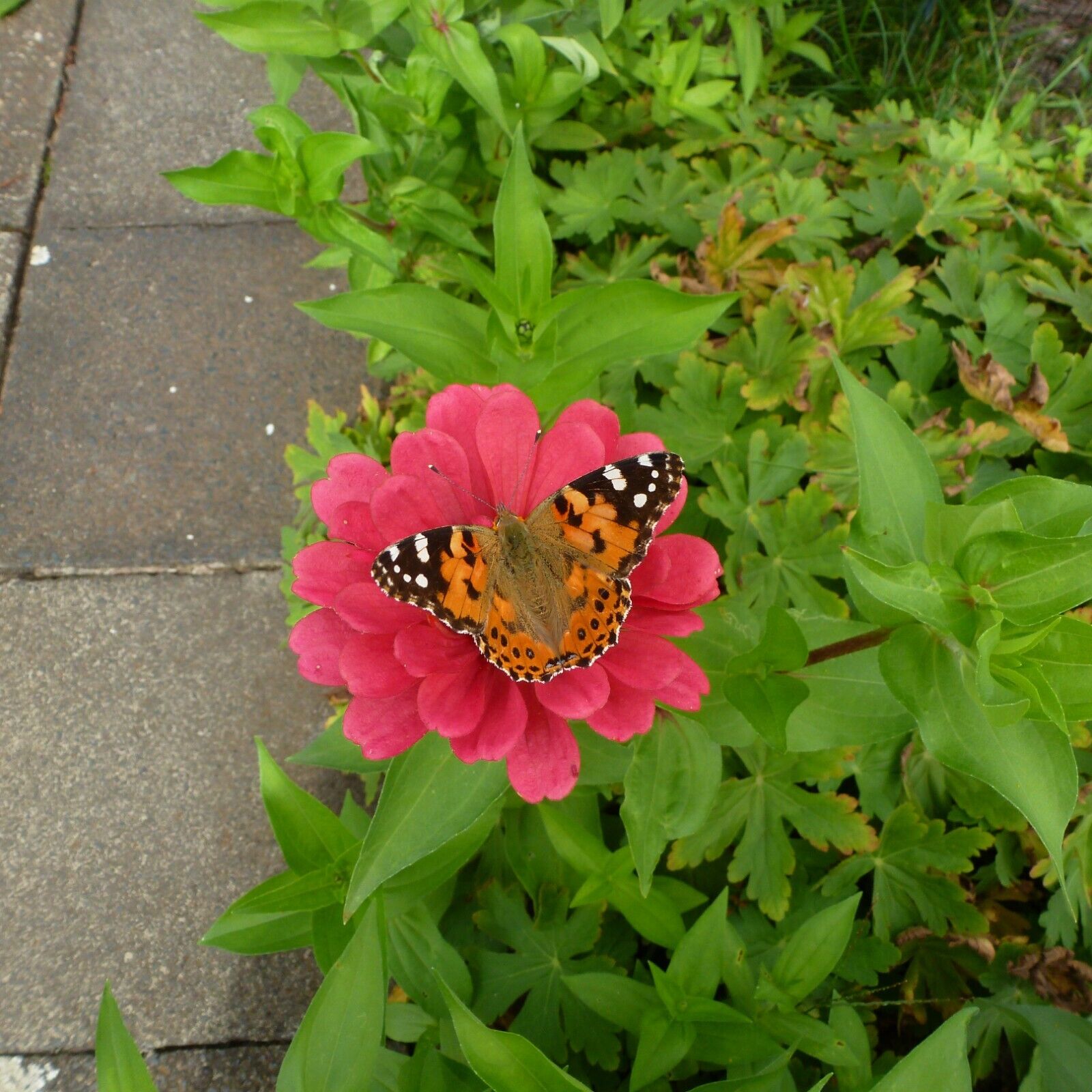 Foto 3 di 15