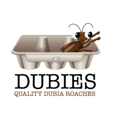 40 Large Quality Dubia Roaches Fully Gut Loaded Premium Organic