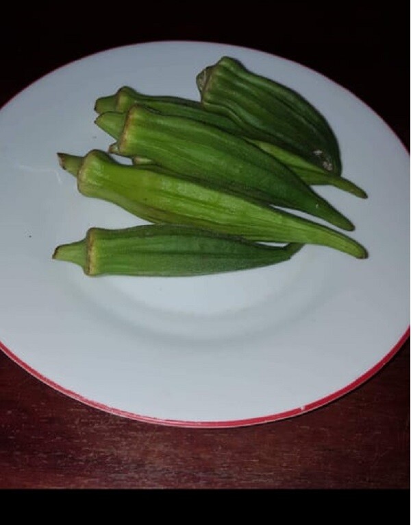 Okra Quiabo Combo ( 100 semillas ) seeds Abelmoschus esculentus