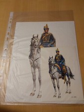 Farbtafeln schwedische Truppen 18. - 19.Jh