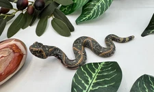 NEW FIMO CLAY RATTLESNAKE SCULPTURE  by JON S. ANDERSON! LOWEST PRICES!