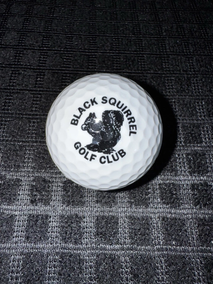 Rare Black Squirrel Golf Club Logo Golf Ball Golden Ram - Image 2 of 4