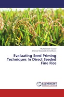 Muhammad Tauseef (U. A.) | Evaluating Seed Priming Techniques In Direct...