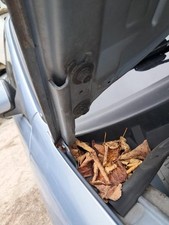 Capot Mazda 626