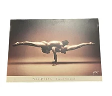 Michel Pilon Vis Versa Balancier Cirque du Soleil Photographic Art Print