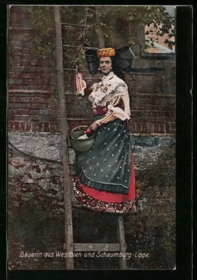 Postcard Schaumburg-Lippe-Westphalia, farmer's wife in costume on a ladder 