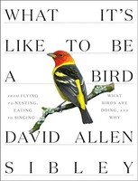 David Allen Sibley - What It's Like To Be A Bird - Hardback - G245Z