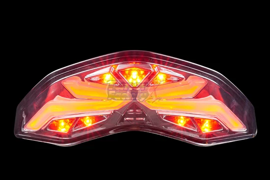 Luz trasera LED DUCATI MONSTER 1200 S/R 821 797 2014-21 SEÑAL HUMO L+R trasera Foto 3 de 4