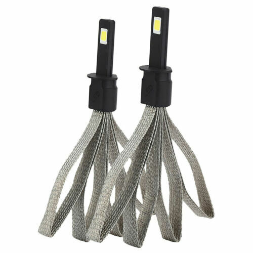 Kit De 2 Ampoules Xénon D1S 35W 12V - Pour Seat Leon II (1P), Phares Avant, Neuf