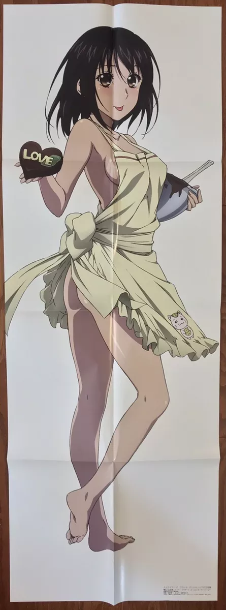 Double Sided Anime Poster: Is the Order a Rabbit Chino, Strike the Blood