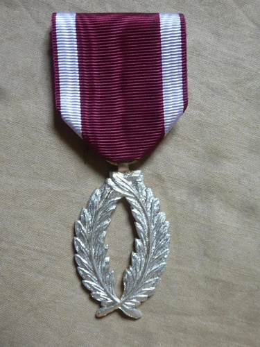 Silver Palm of the Order of the Crown Kingdom of Belgium