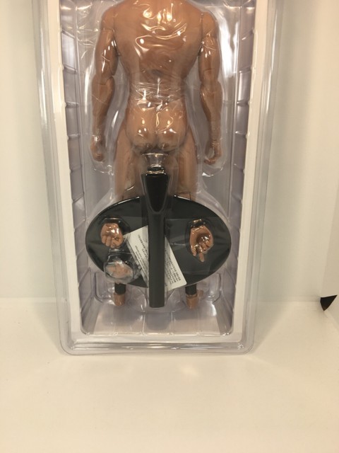 Hot Toys TrueType Male Figure Body Muscular TTM 20 Body authentic New for sale online