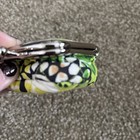 Vera Bradley lipstick holder? pouch — photo 3