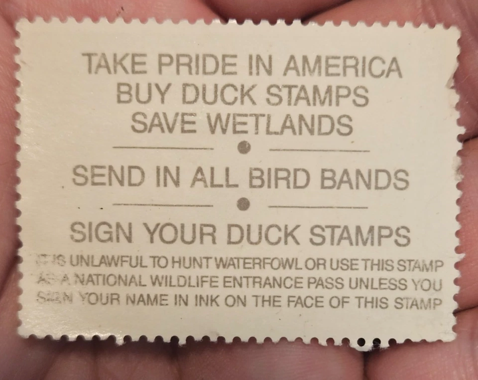 1991 Migratory Bird Hunting and Conservation Stamp Black Bellied Whistling Duck - Image 2 of 2