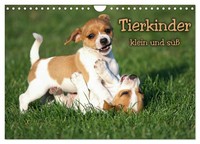 Calendar 2027 · US Version · Animal Children Small And Cute (Wall Calendar 2027