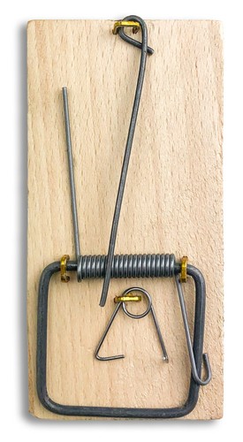 6x Mausefalle Schlagfalle Holz Mäusefalle Köderfalle - Bild 2 von 3