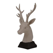 Home Décor Essentials for Every Style (12 Singha) Decorative in White Color