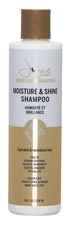 Joyce Giraud Miracle Elixir Collection Moisture & Shine Shampoo 8 fl oz FREE SH